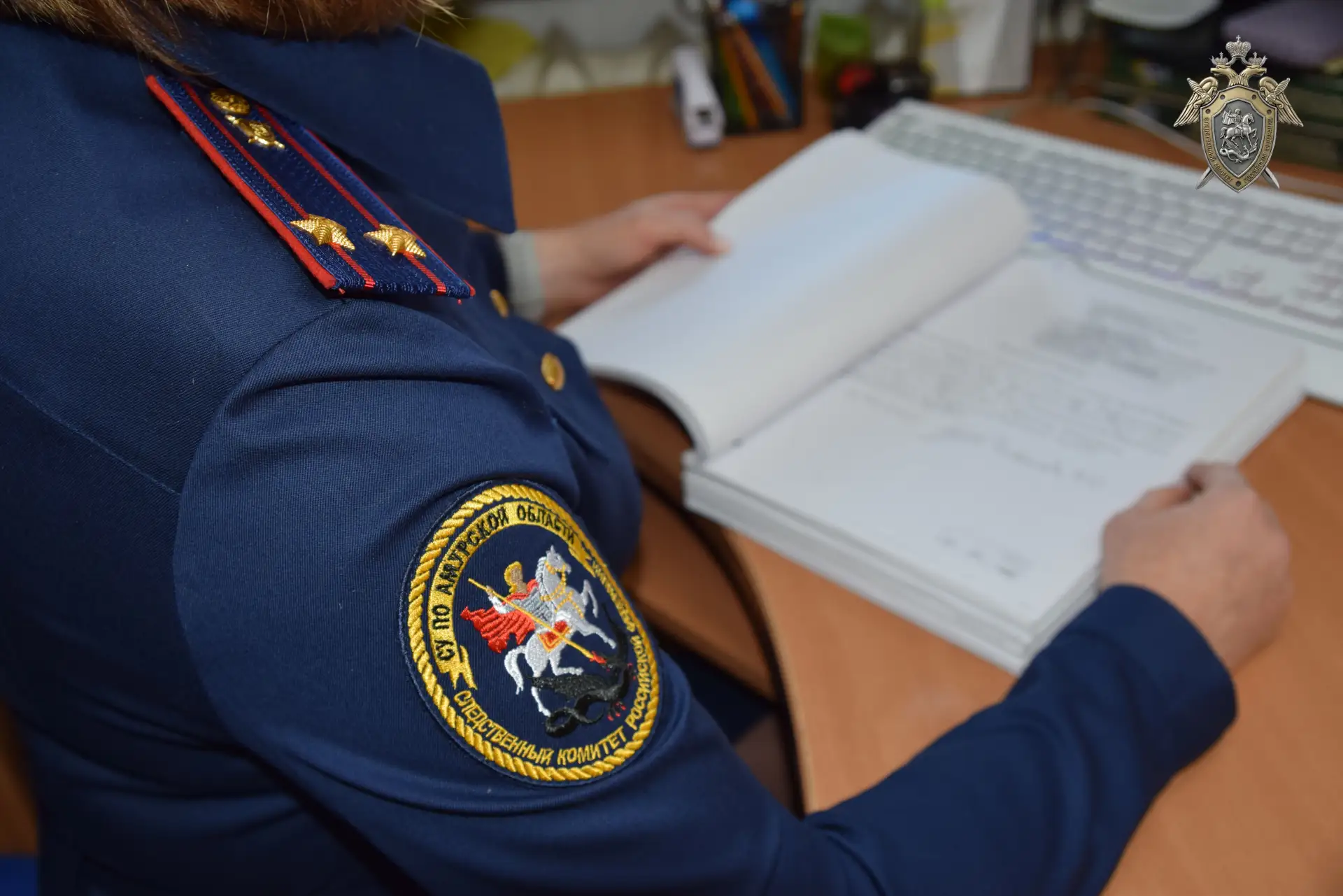 Жительница Благовещенска предстанет перед судом по обвинению в применении насилия в отношении предст