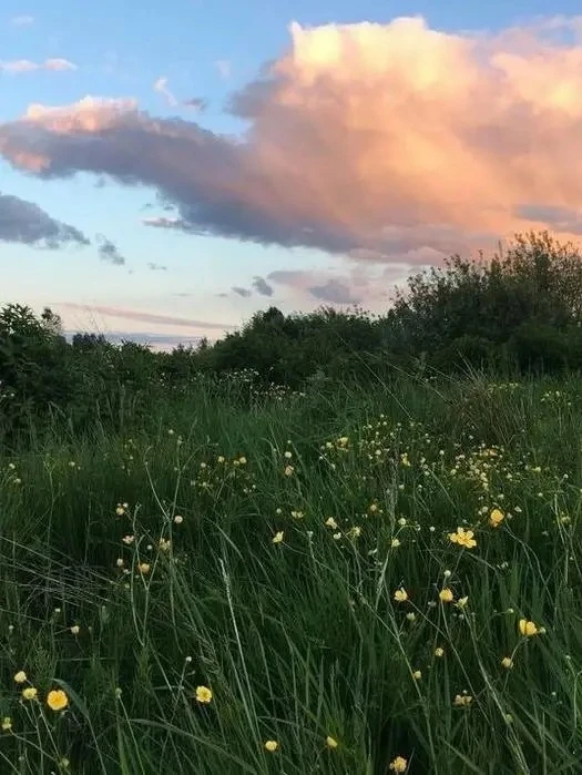 Жаркий июнь в Карелии отменяется