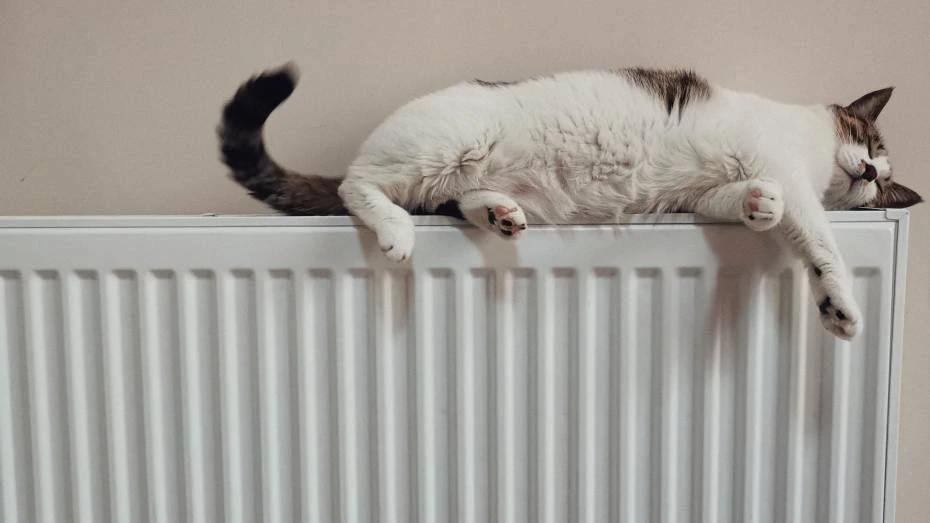 🥵 В Казани стартовал отопительный сезон: все городские котельные запущены