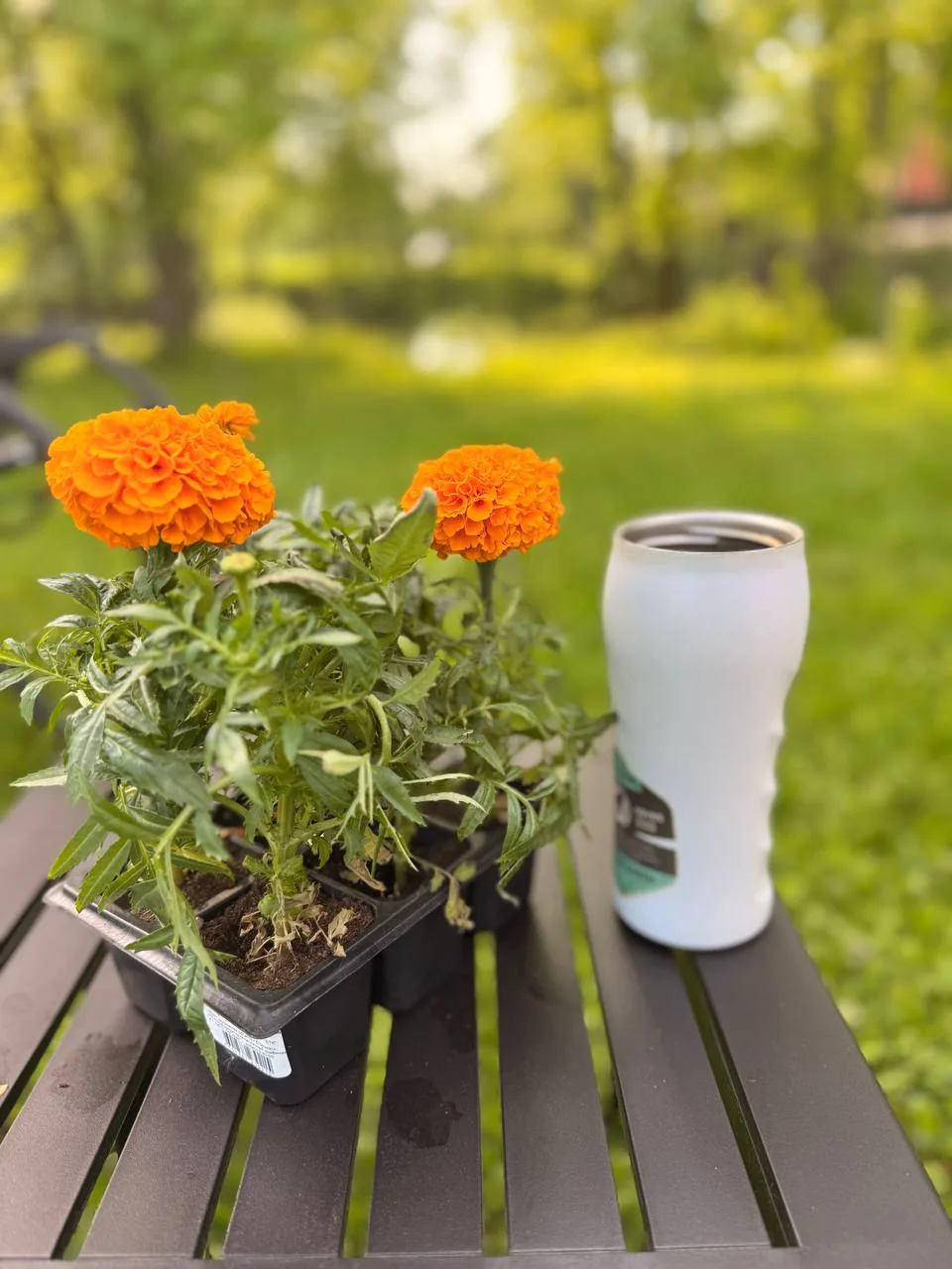 🌼 Завтра, 20 мая в 13:00 (МСК) на платформе МСП проведу практикум из серии цикла по ме...