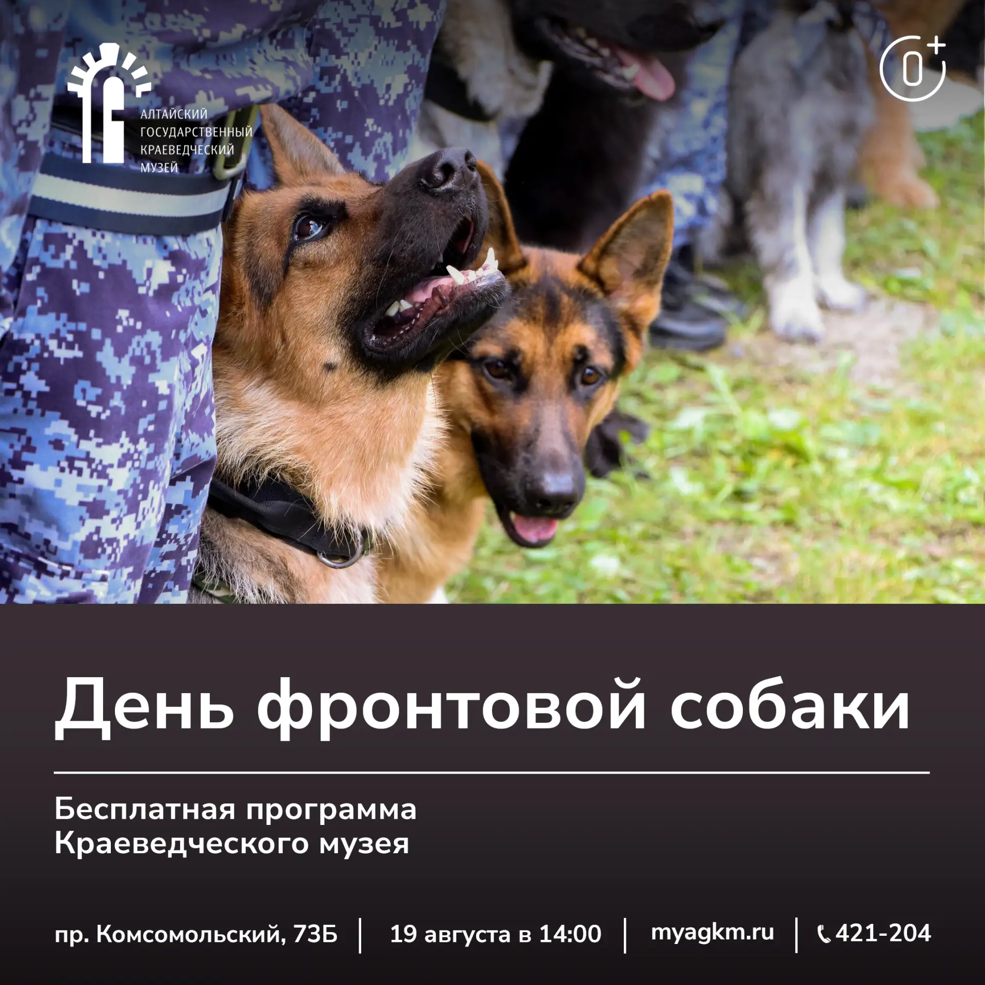 📢19 августа в 14:00 в музее пройдет Всероссийская акция «День фронтовой собаки»!