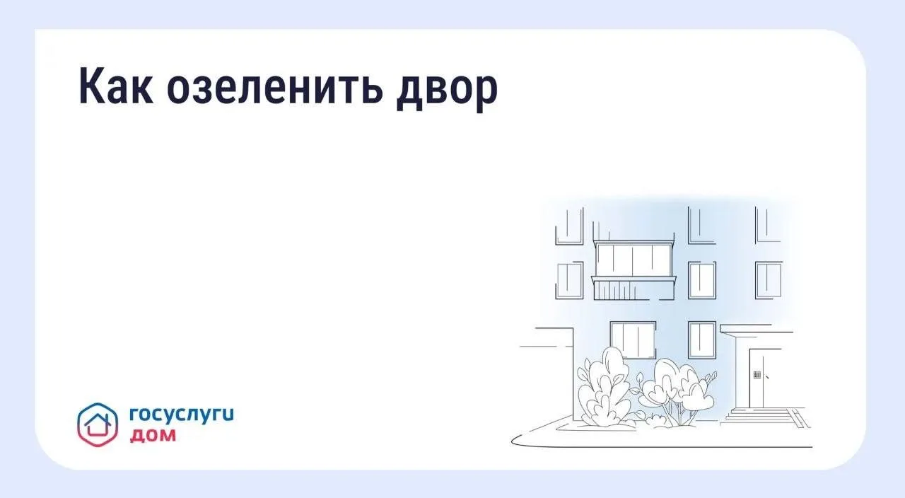 Как озеленить двор: пошаговая инструкция.