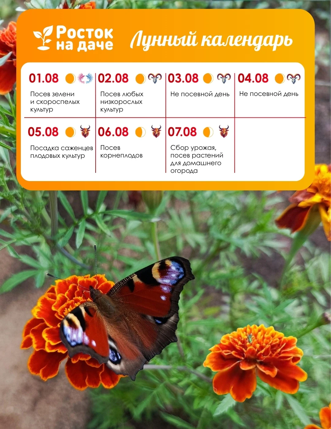 📝ЛУННЫЙ КАЛЕНДАРЬ. АВГУСТ
01.08.2026 - 07.08.2026 
 
✔1 августа - Рыбы, луна убывающая. Плодородный