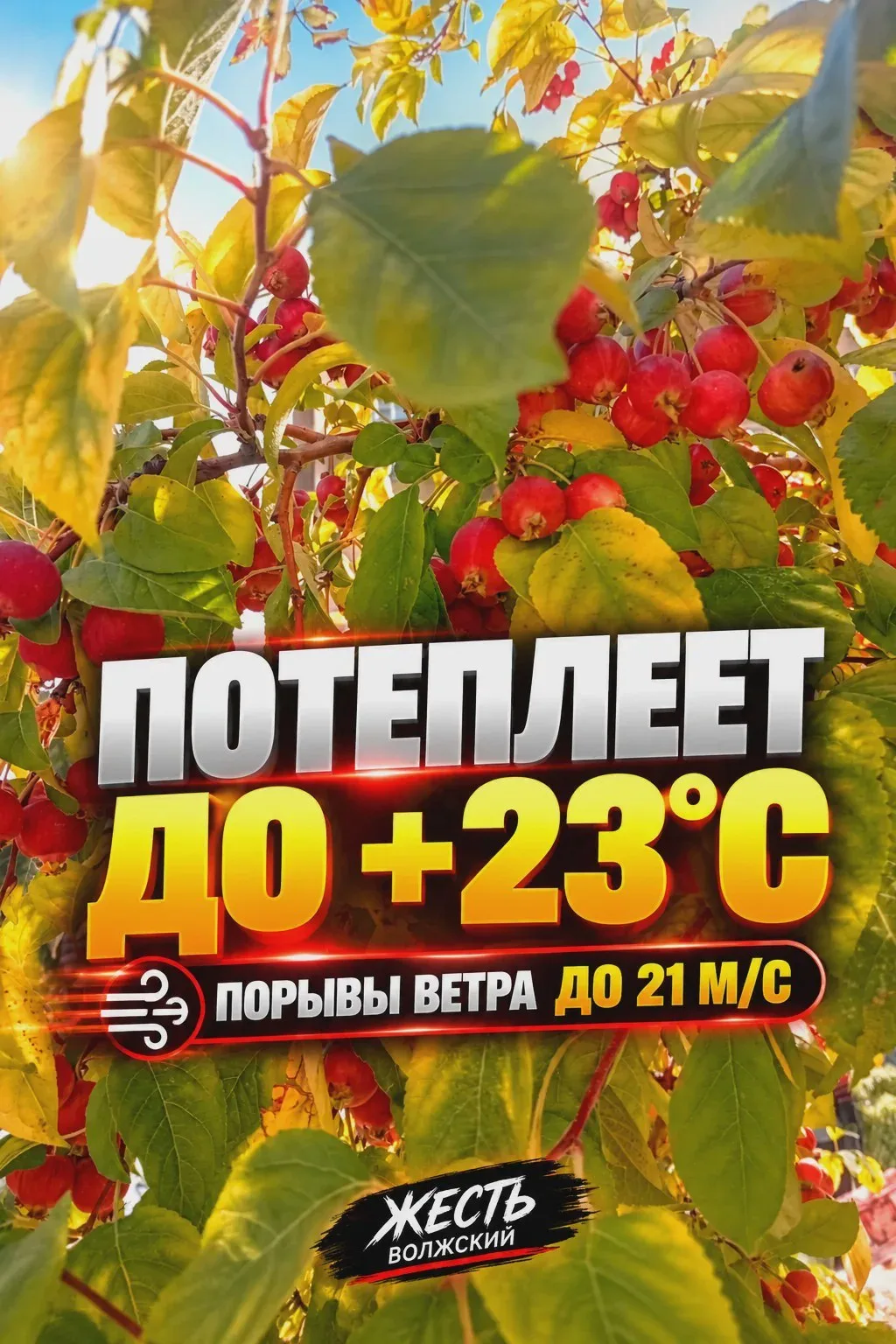 🔥 В Волжском на будущей неделе потеплеет до +23°C