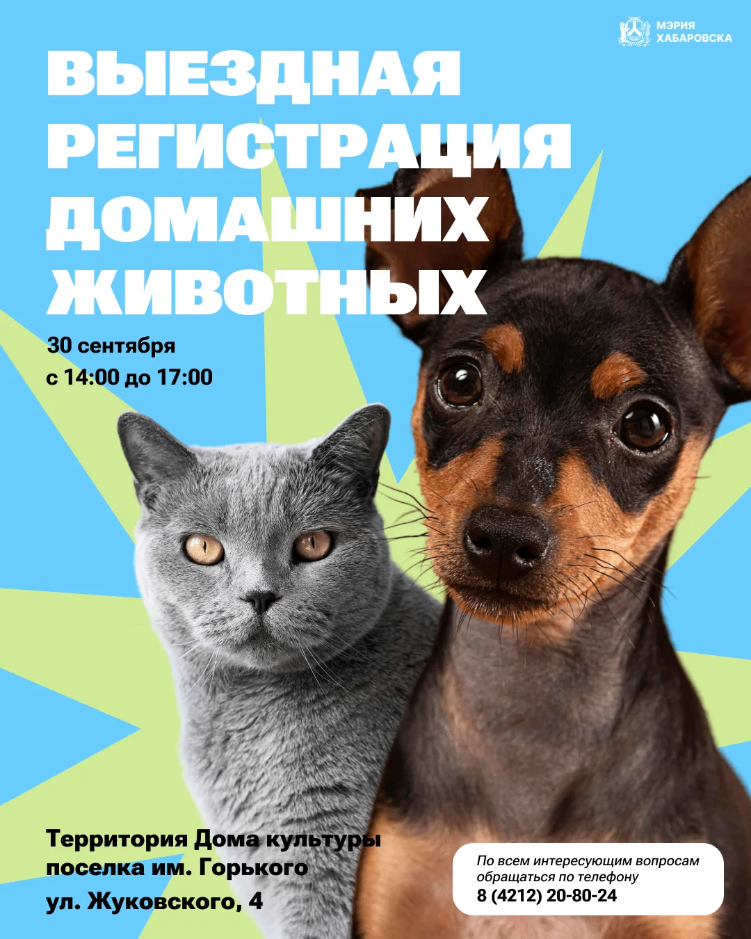 Выездная регистрация и вакцинация домашних животных пройдет в Хабаровске 🐶🐱