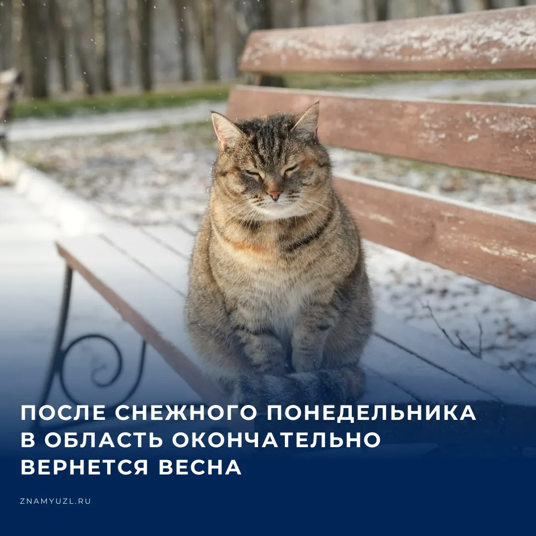После резкого похолодания со снегом и сильным ветром в Тульскую область вернется весеннее тепло. Пос