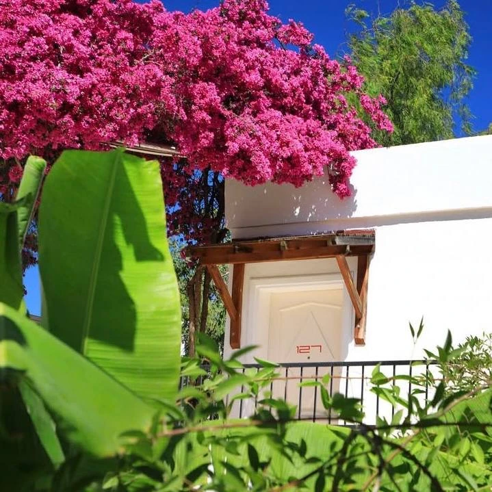 ДАЁШЬ ЯРКУЮ ТУРЦИЮ ЭТИМ ЛЕТОМ🍸

Very Chic Bodrum 18+ 5*
📍Бодрум, Турция

🌴отель с небольшой, но у