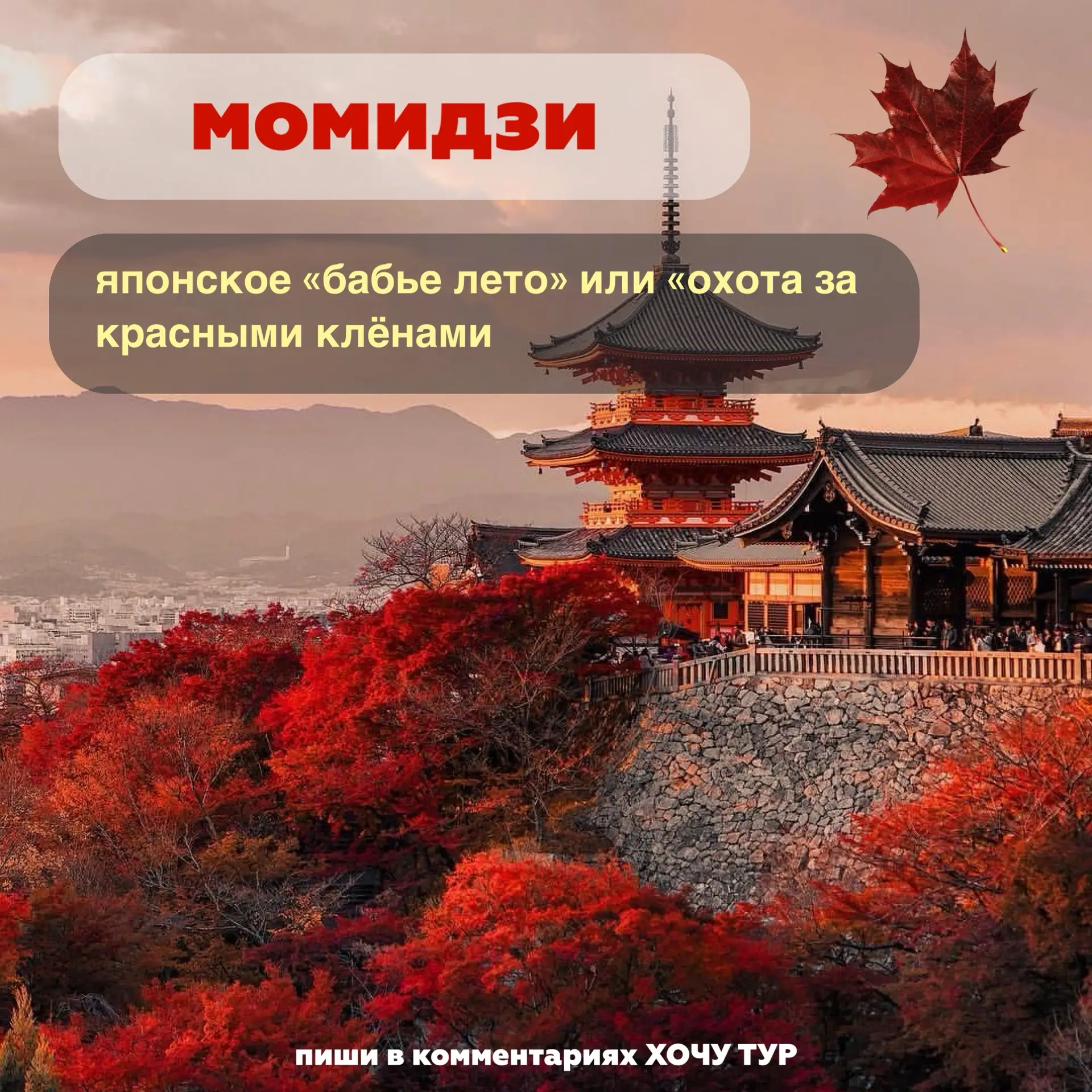 🇯🇵🍁 Японская осень — сезон МОМИДЗИ