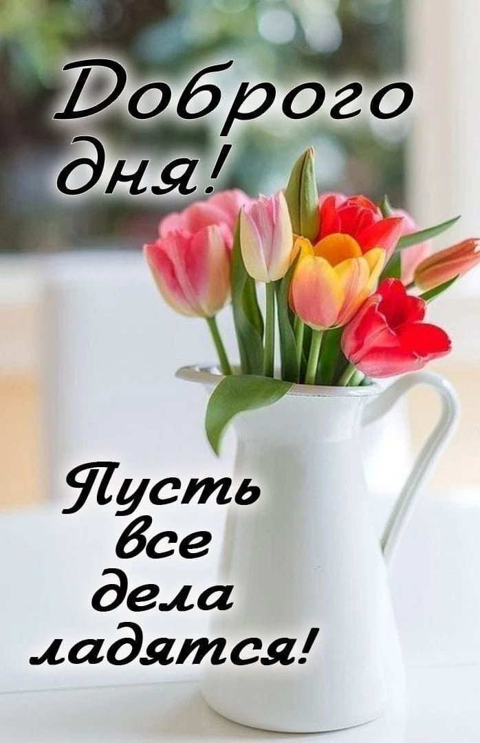 Открытки в ТГ
Открытки в МАХ