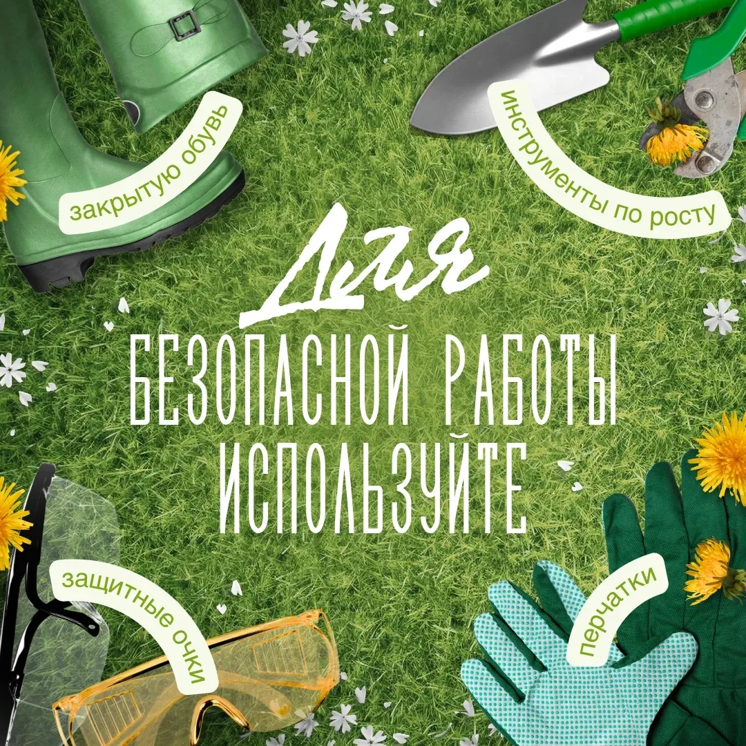 Как не оставить здоровье на даче 🌱

Неправильная работа на участке может привести к травмам и переу