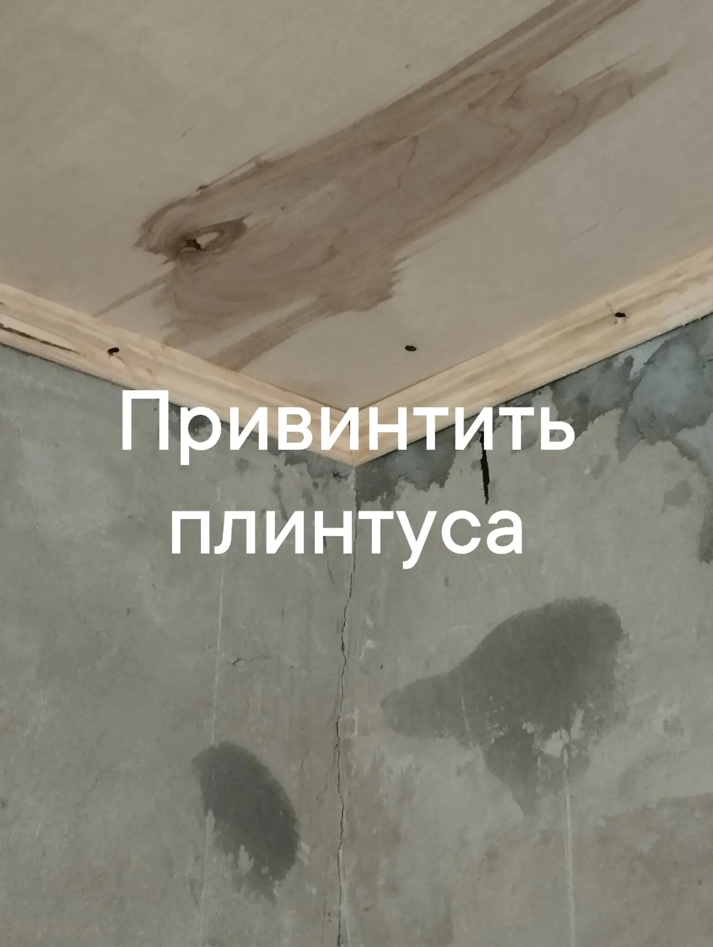 Оплата 5 тысяч наличными.