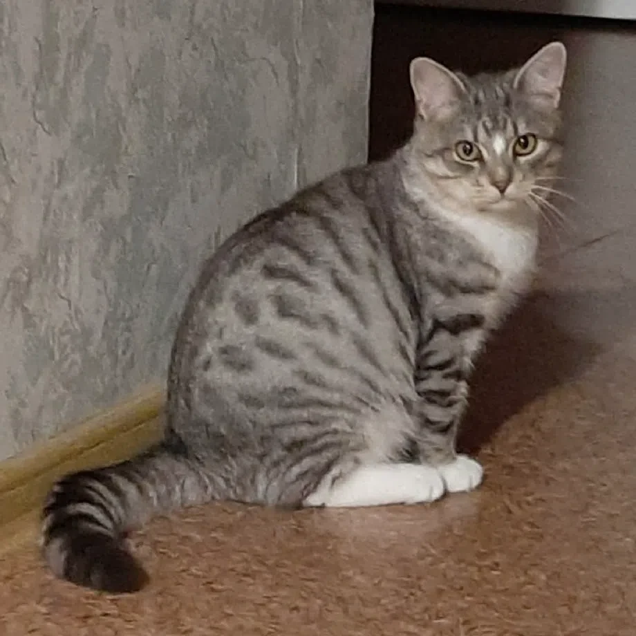 Анонимно