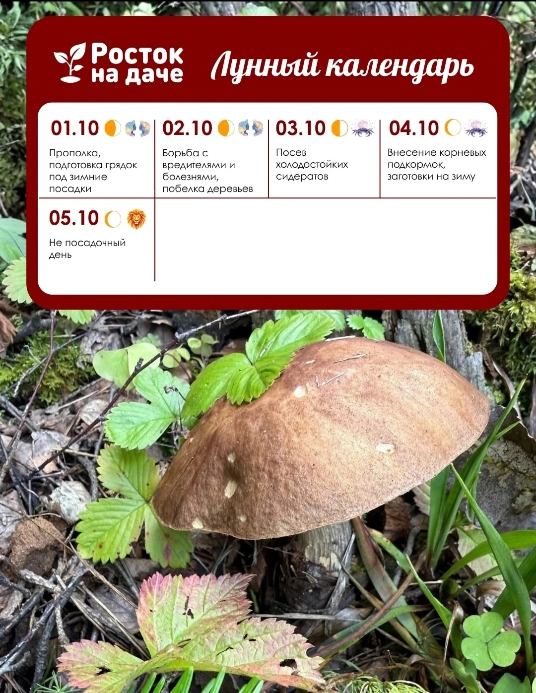 ЛУННЫЙ КАЛЕНДАРЬ. Октябрь