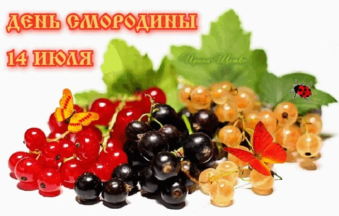 😊Вкусное лето: «День смородины» в группе раннего возраста.🥰

Лето в самом разгаре, а значит — приш