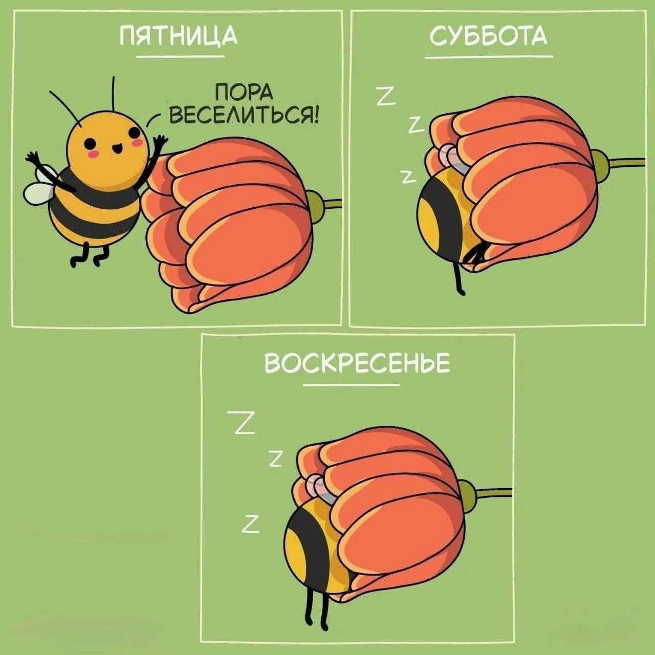 Коротко о планах на выходные 🙃