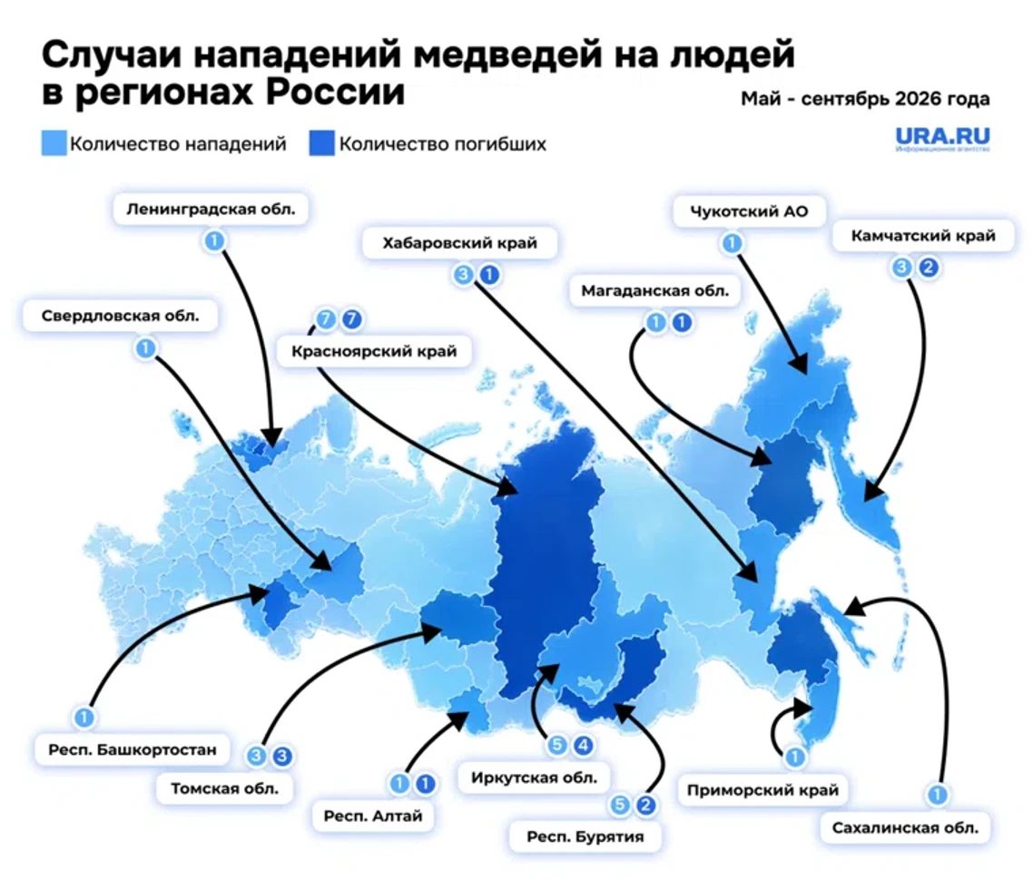 С начала года на Дальнем Востоке медведи выходили в населенные пункты более 1200 раз, р...
