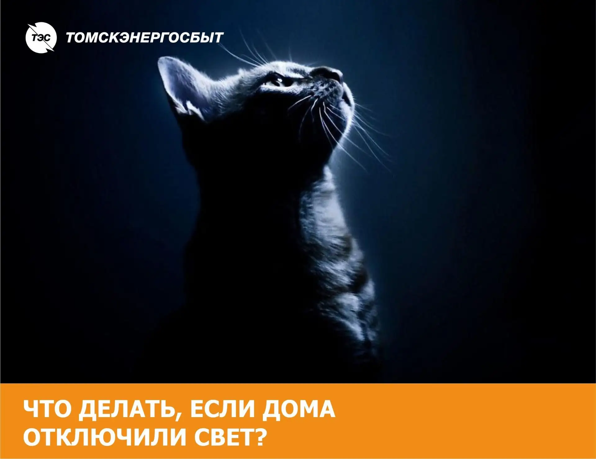 Где свет? Что случилось? Почему отключили? Надолго?