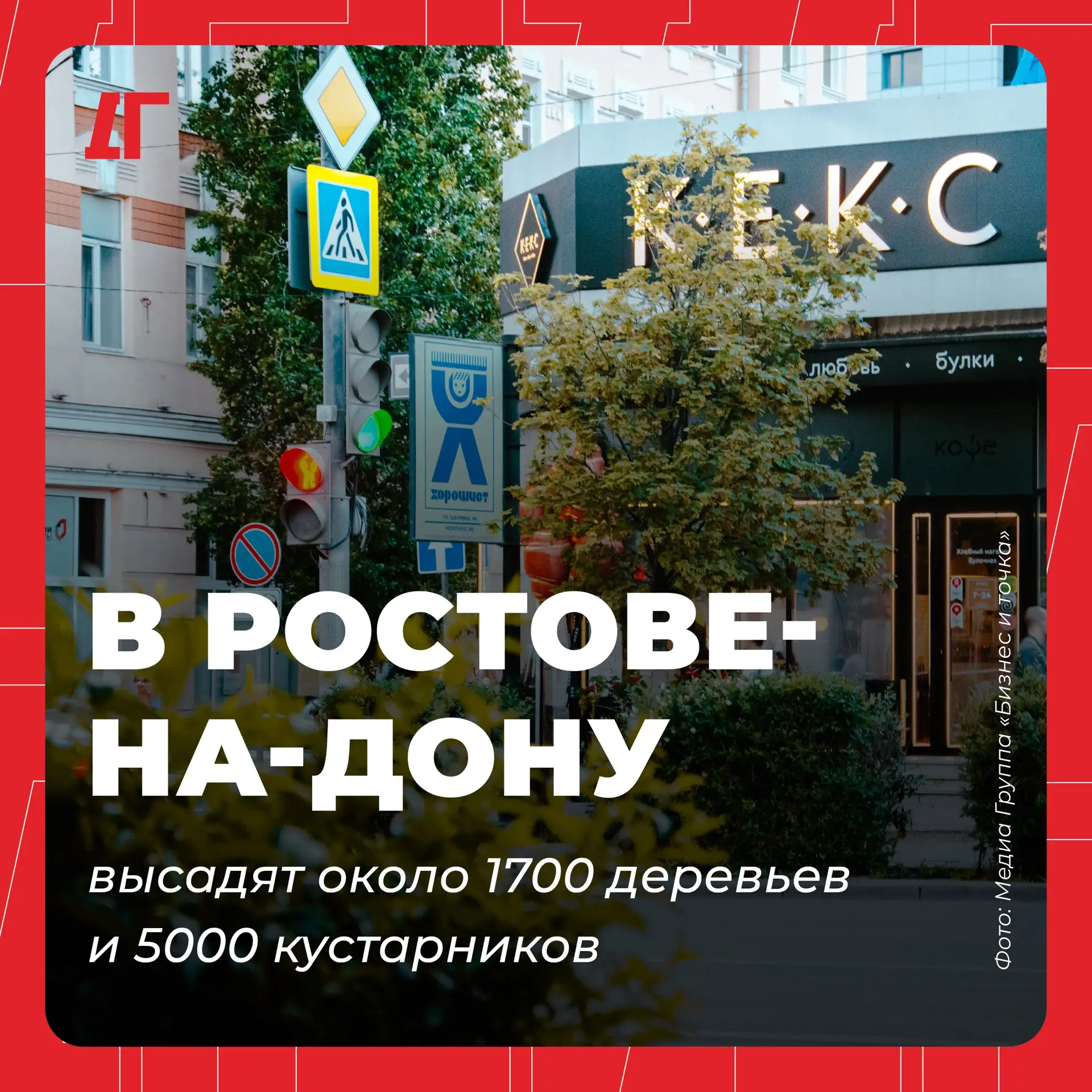 🌱 В Ростове-на-Дону высадят около 1,7 деревьев и 5 тысяч кустарников