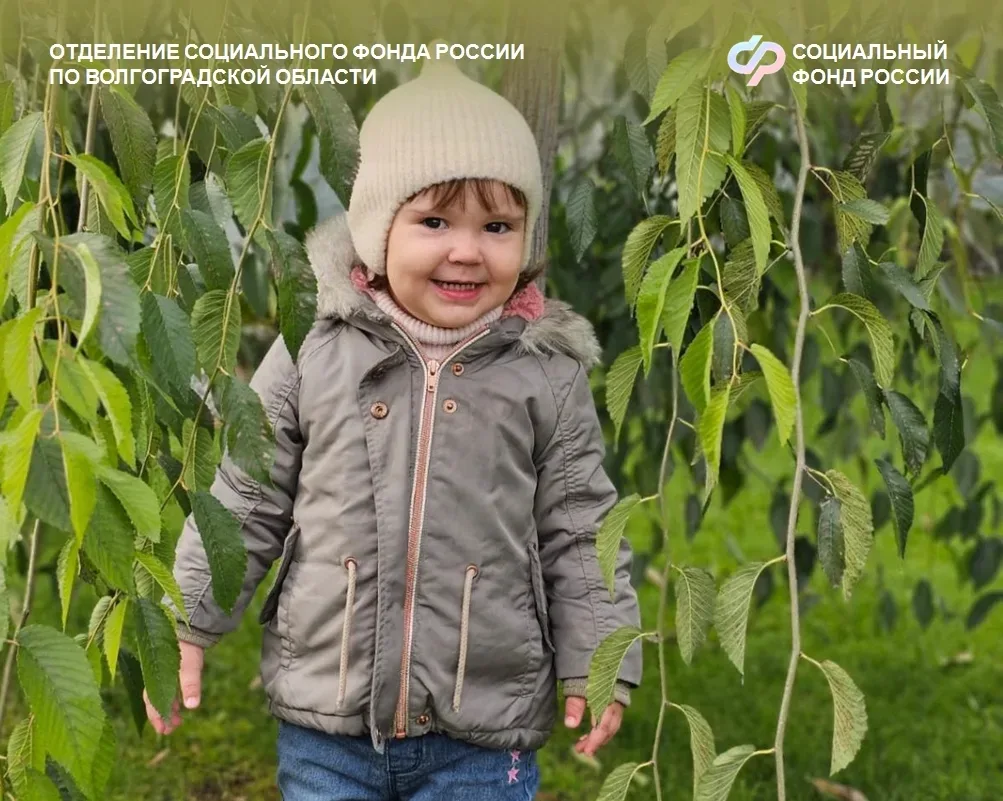 Как проверить сертификат на материнский (семейный) капитал?   📍Это можно сделать в личном кабинете н