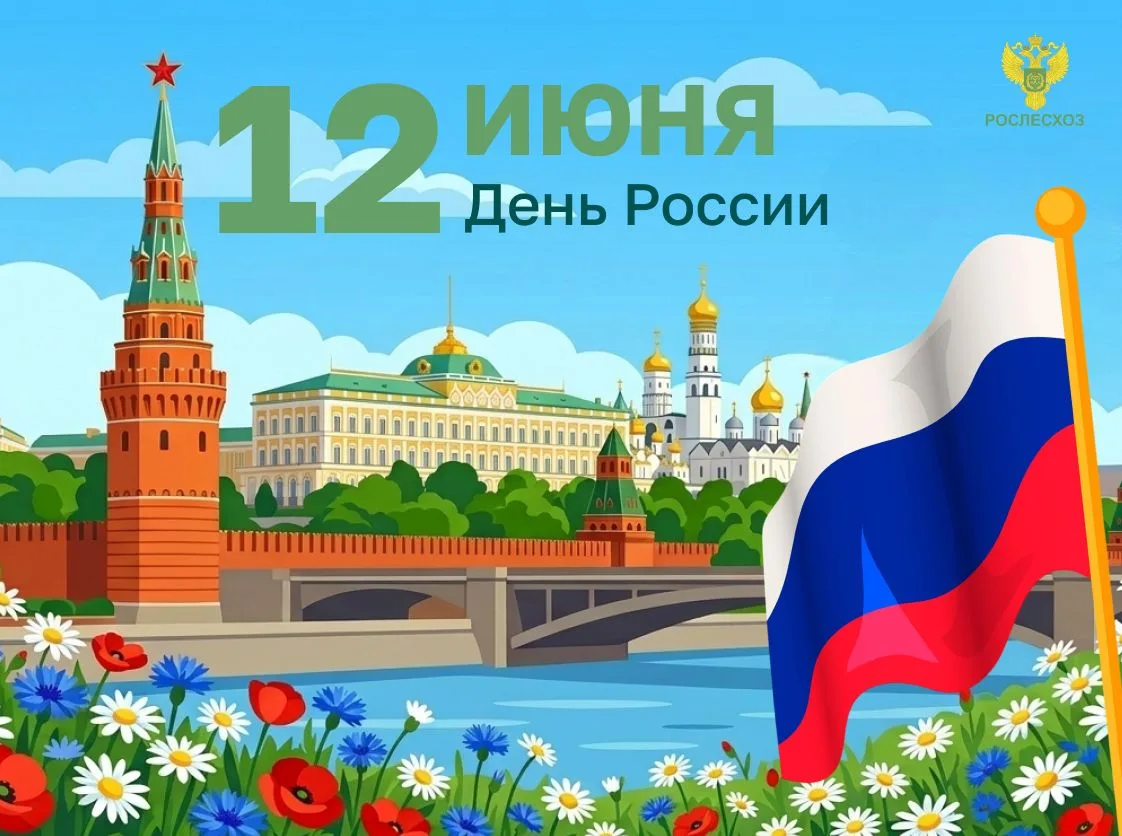 🇷🇺 Сегодня мы отмечаем День России!