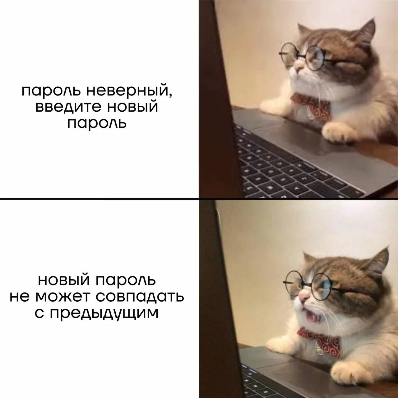 Ситуация неприятная 💀