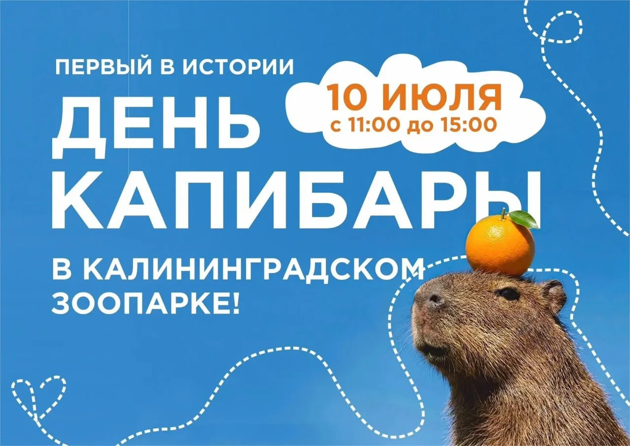 КАПИ-праздник

Завтра 10 июля в 11:00 душевно и по-домашнему отметим Всемирный день КАПИбары.

В про