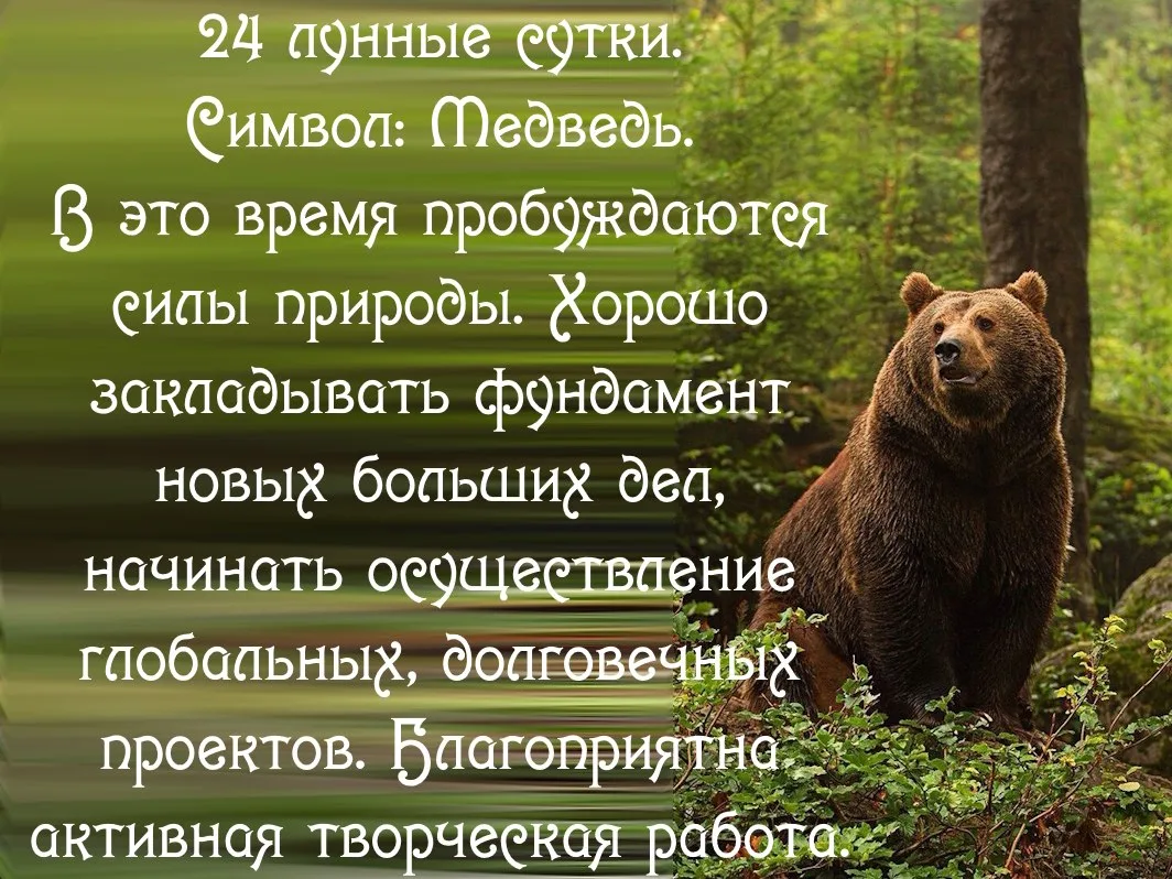 24-й лунный день  с 09.06 00:59 по 10.06 01:05 MSK.