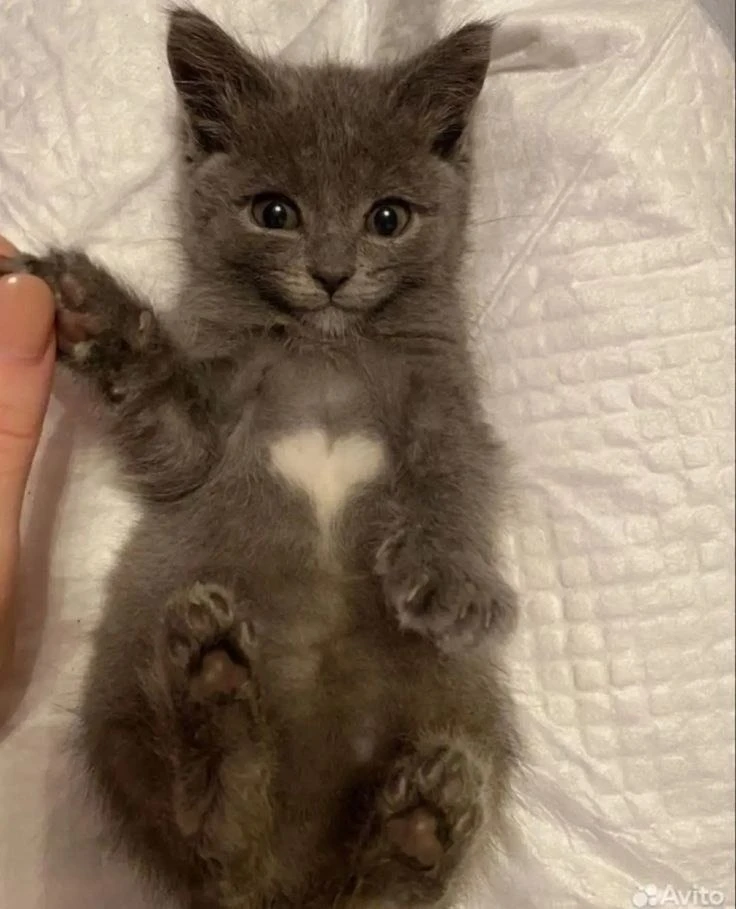 ❤️