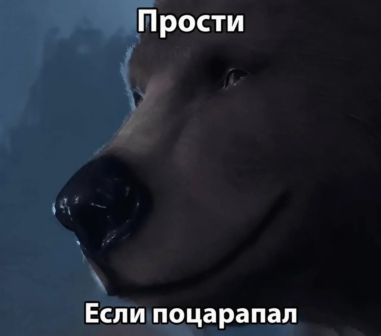 На Байкале снова медведь, и на этот раз встреча закончилась больницей 🐻