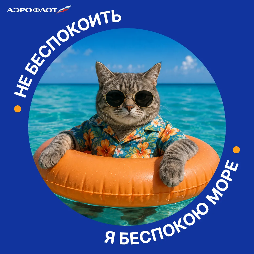 Изображение 9 к публикации «АЭРОФЛОТ»