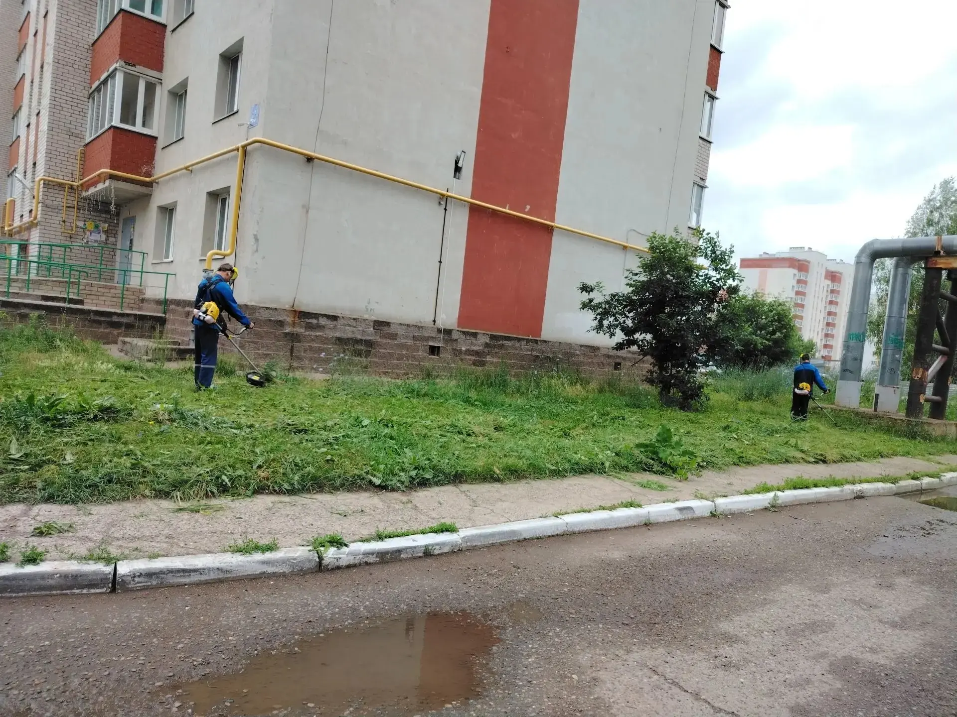 Поддерживаем ухоженный вид дворовых зон. Проводим плановые работы по покосу травы.