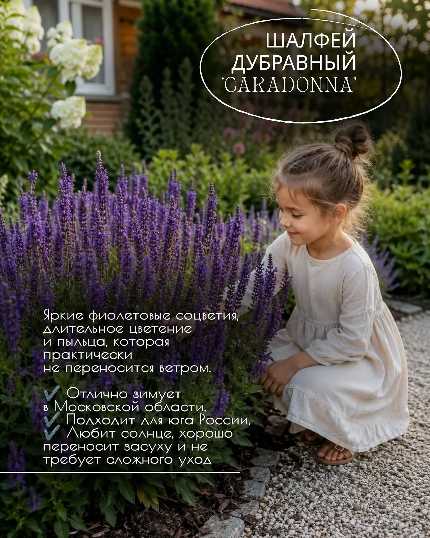Безопасный сад для семьи: какие красивые растения лучше не сажать, если есть дети ✨🌿