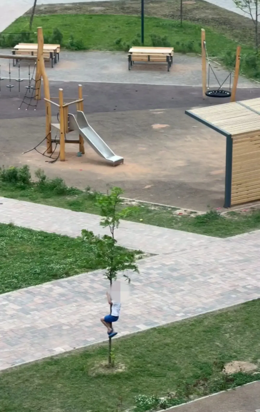 Потом у нас не растут деревья во дворе😣 1.1

⚡ Новости ЖК Пятницкие Луга