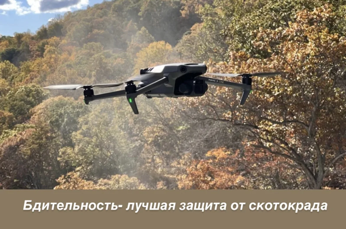 В целях профилактики и пресечения фактов скотокрадства на территории района администрац...