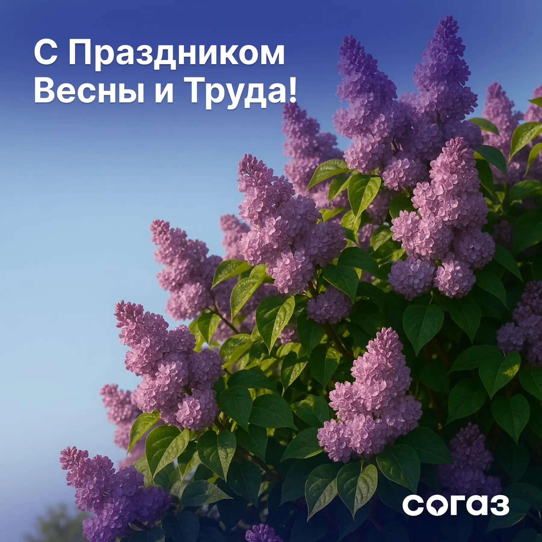 💙 Поздравляем с 1 Мая – Праздником Весны и Труда! В этот светлый праздник желаем вам гармонии, оптим