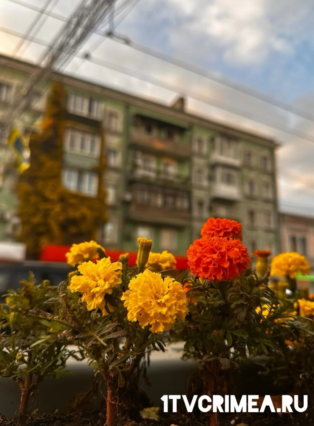 Доброе утро, дорогие🍁