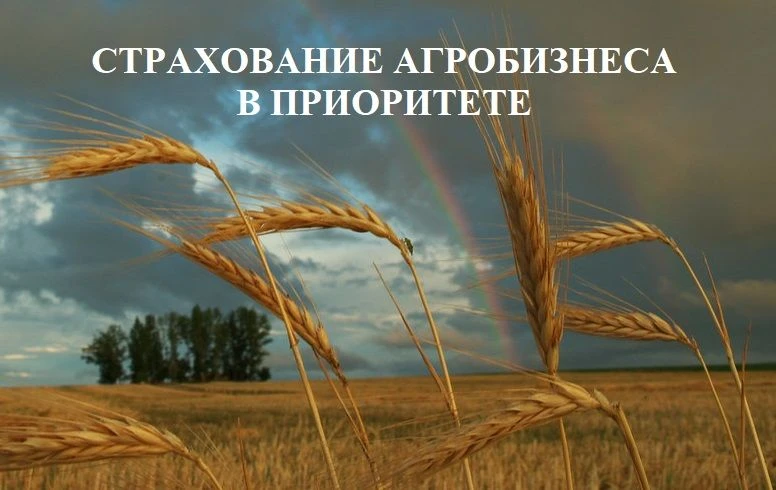 СТРАХОВАНИЕ АГРОБИЗНЕСА В ПРИОРИТЕТЕ