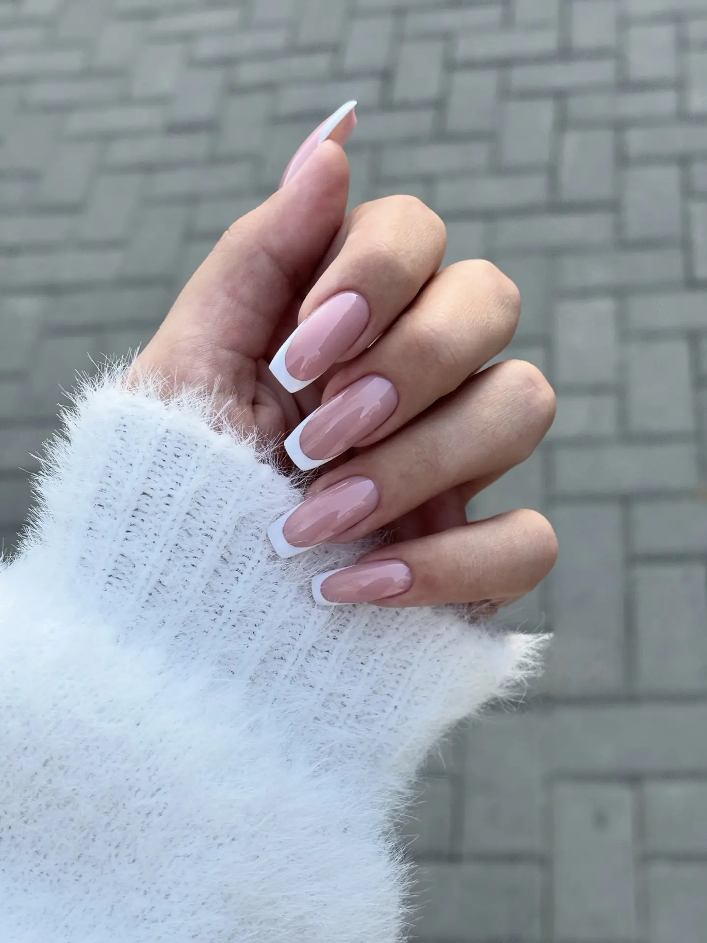 Акула эксперт Светлана