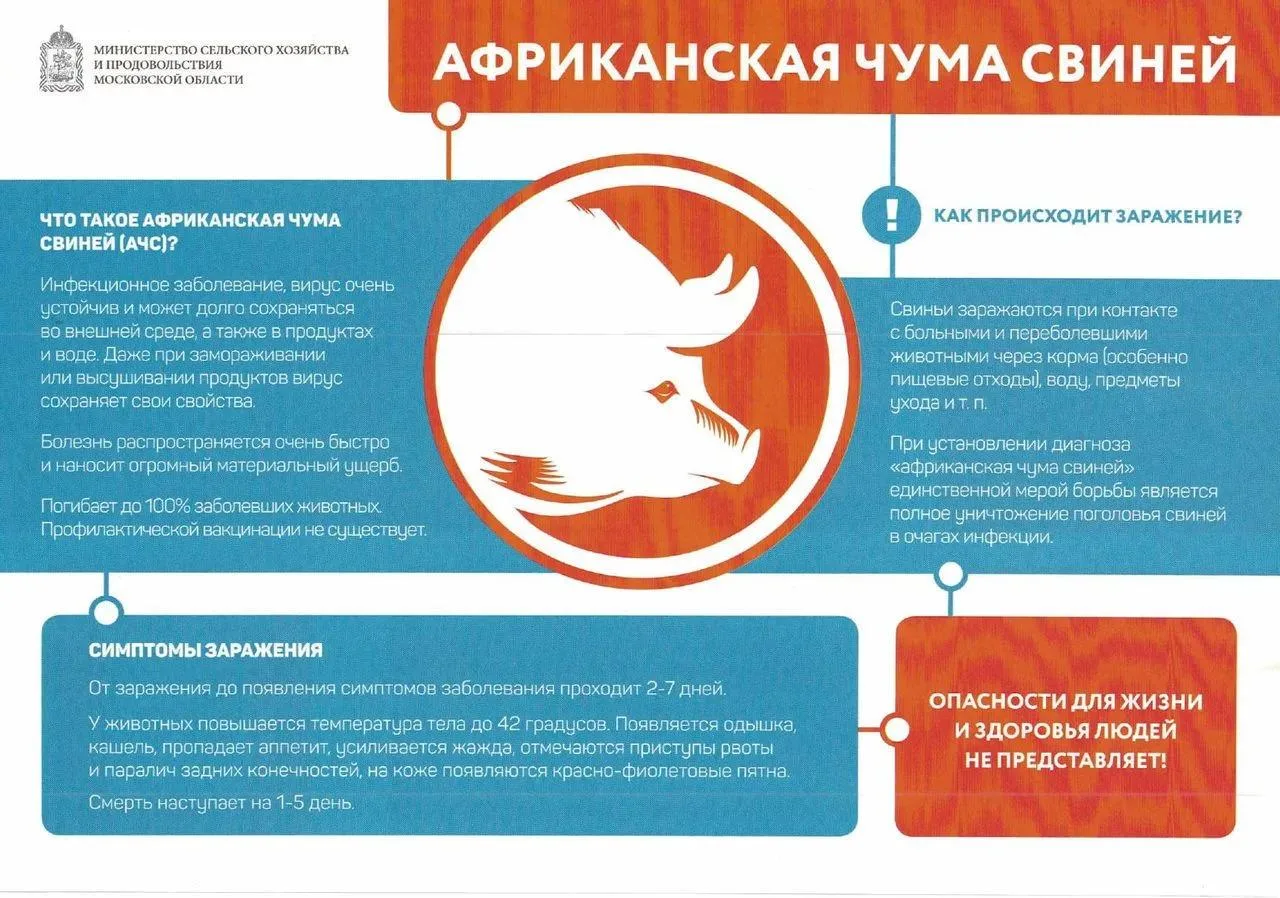 🗓️ В Подмосковье стартовал месячник «Летний вепрь»