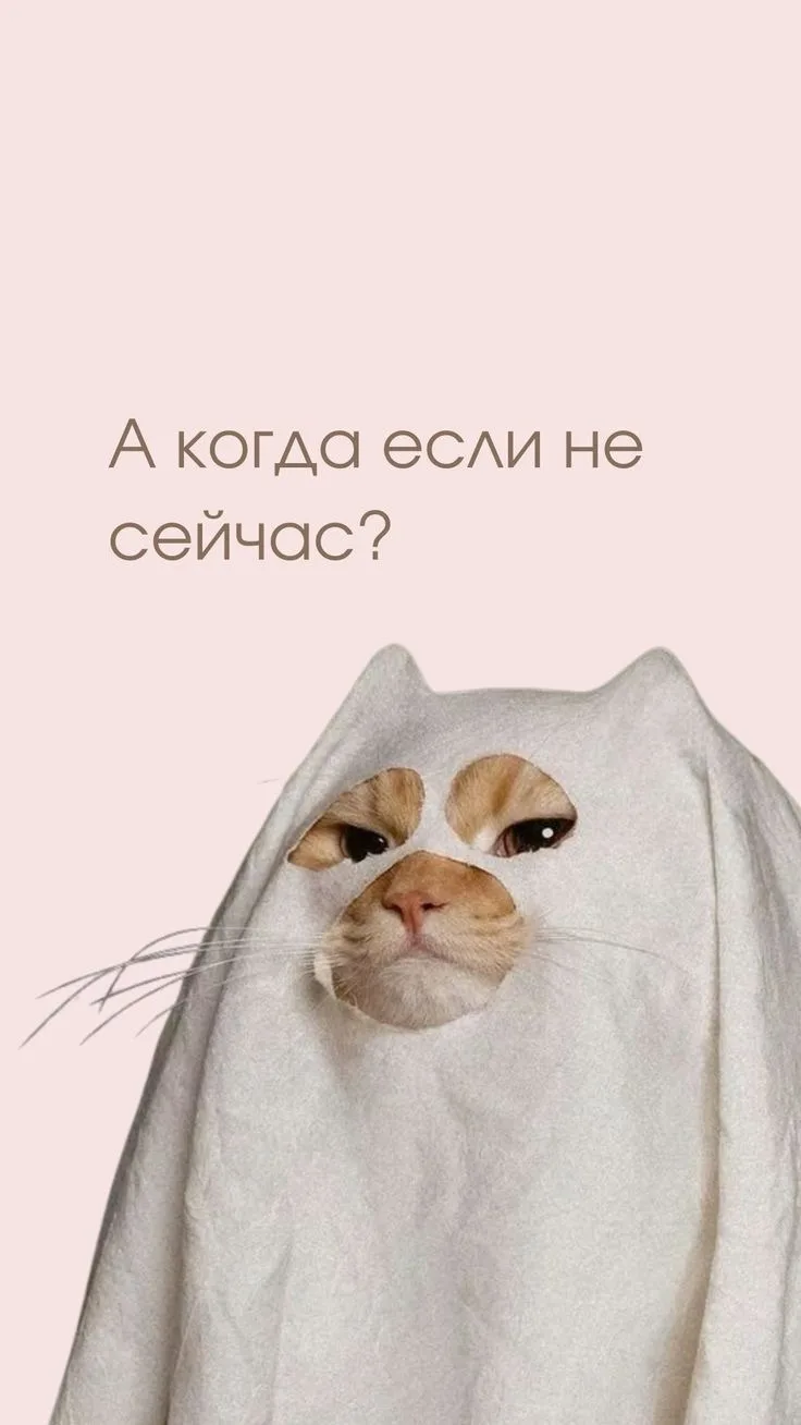 Здесь был розыгрыш