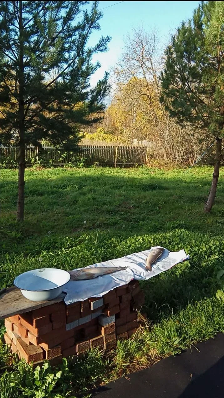 Меню на три дня)))