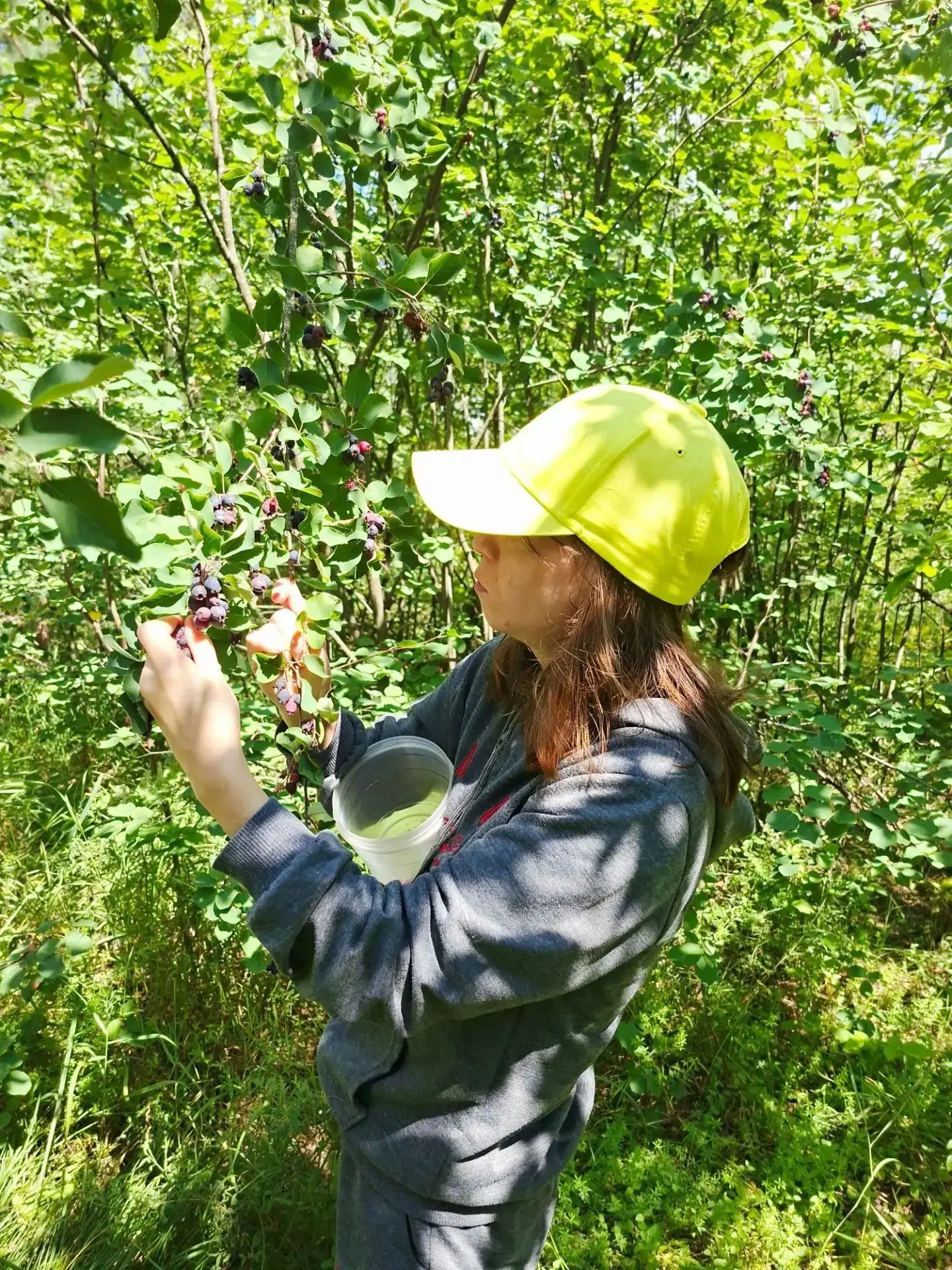 🌈Для подопечных  был организован замечательный поход в лес. Главной целью было собрать дары природы