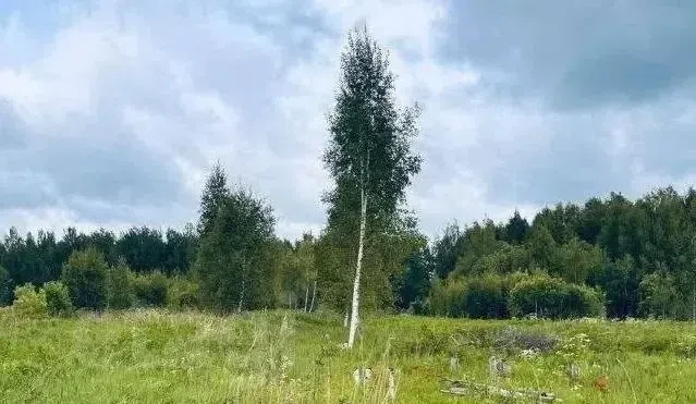 На территории Костромской области найдены обломки двух вражеских беспилотников 
 
Как сообщили в адм