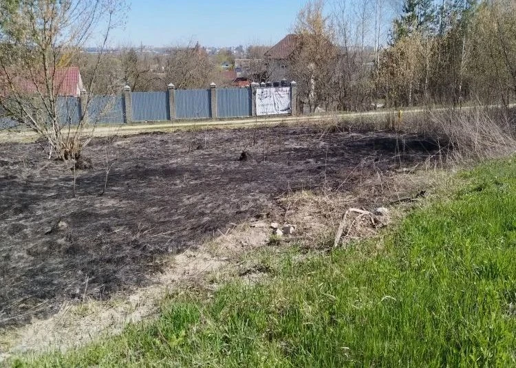 Спасатели потушили шесть ландшафтных пожаров  За вчерашний день в Брянске было зарегистрировано 6 ла