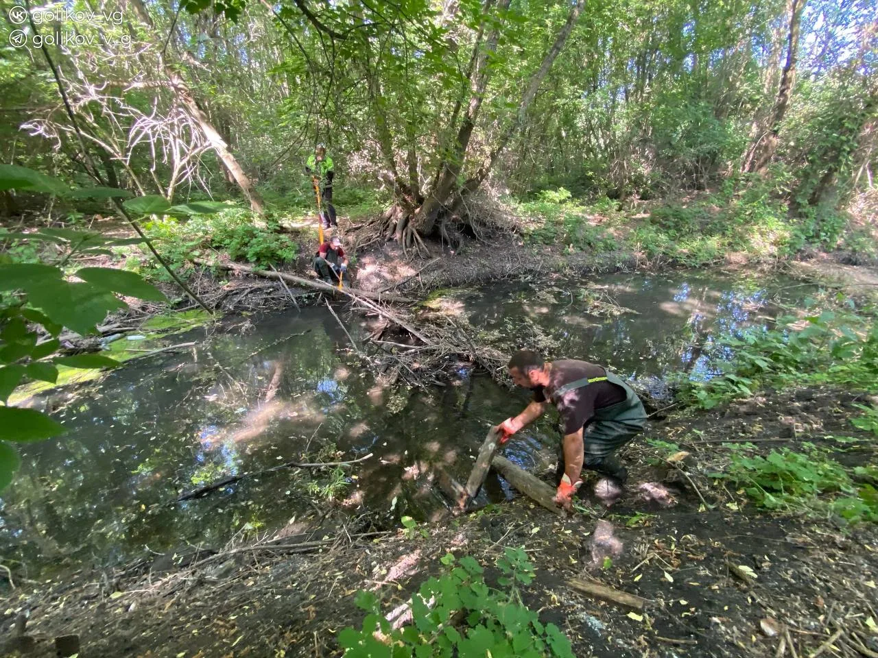 🏞️В рамках мероприятий по улучшению экологии проводится очистка ручья Тёплый Колодезь. 

Работы охв