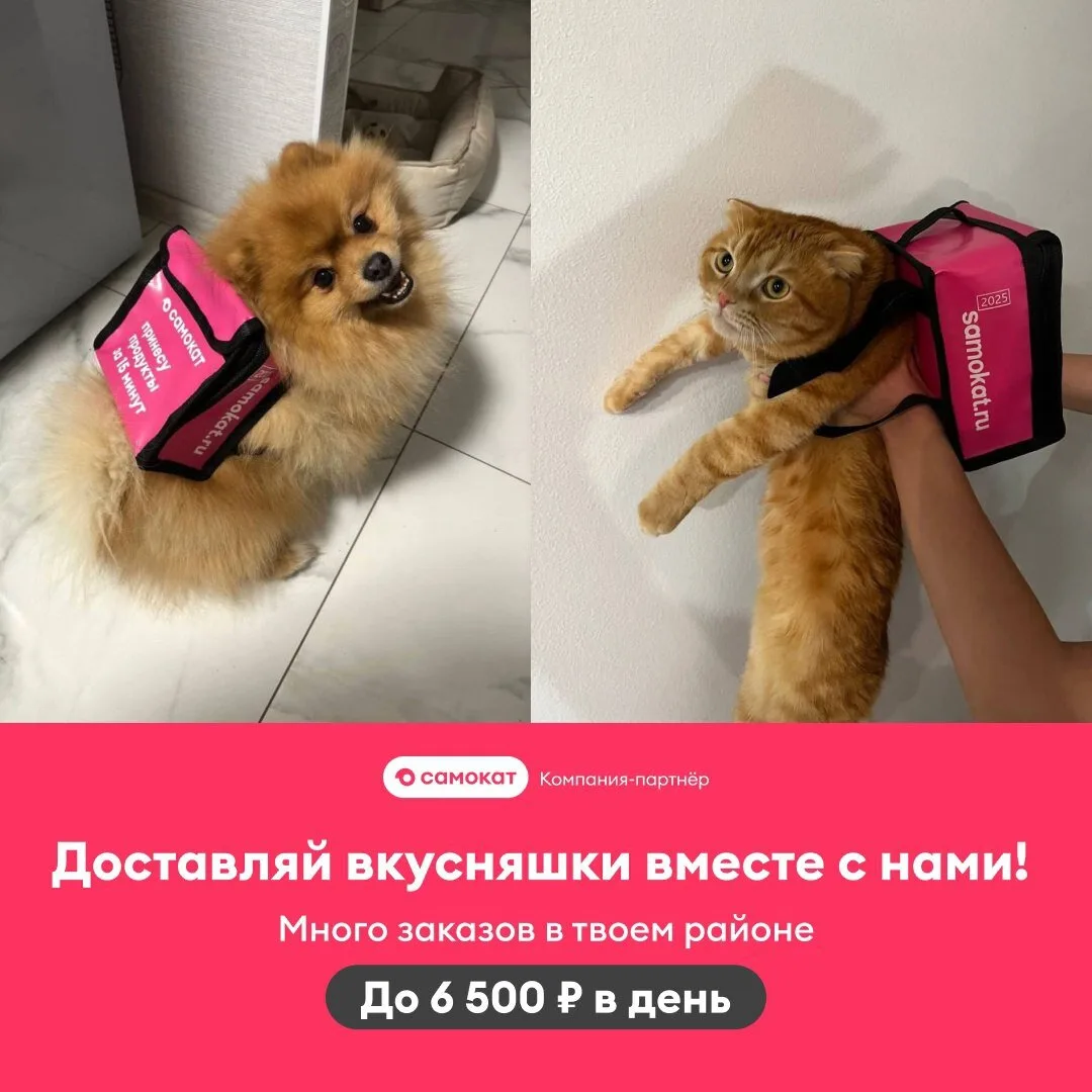 Хочешь зарабатывать до 43 720 ₽ в неделю и не зависеть от количества заказов?
