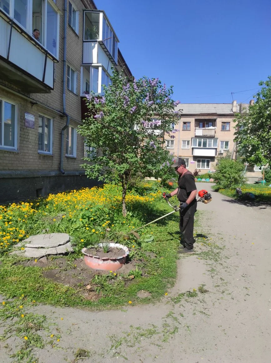 Мира 56 покос