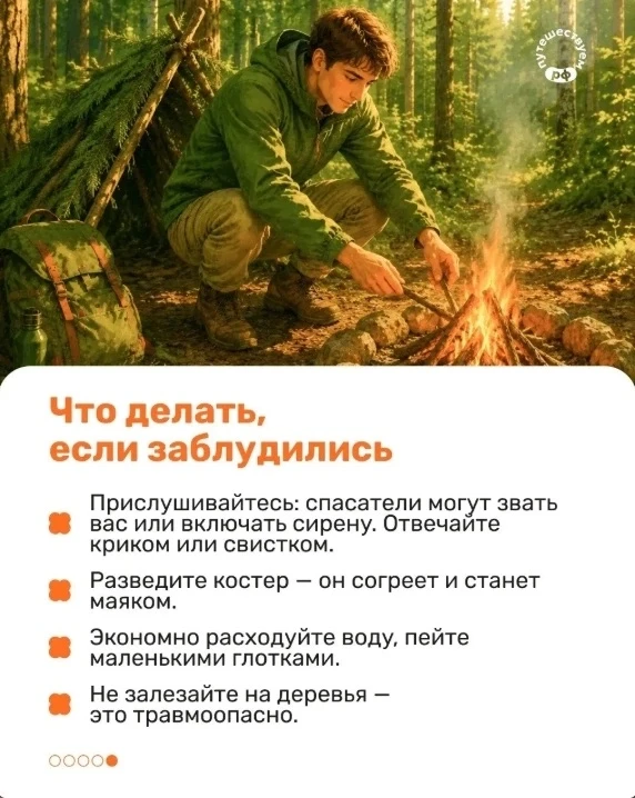 Даже знакомый лес может преподнести сюрпризы, поэтому лучше подготовиться заранее 🍓 🍄‍🟫 
 
В карт