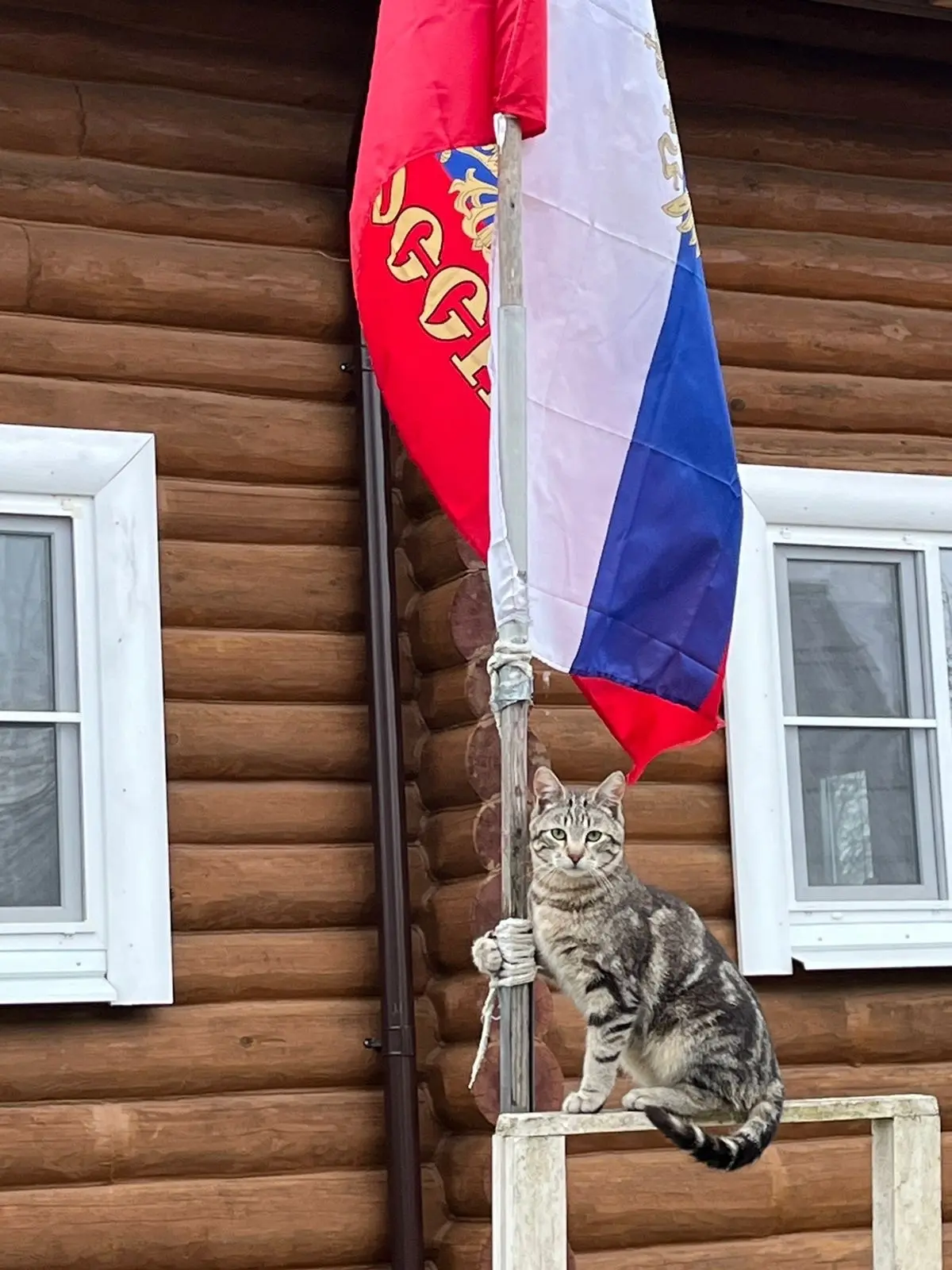 Продолжаем рубрику.