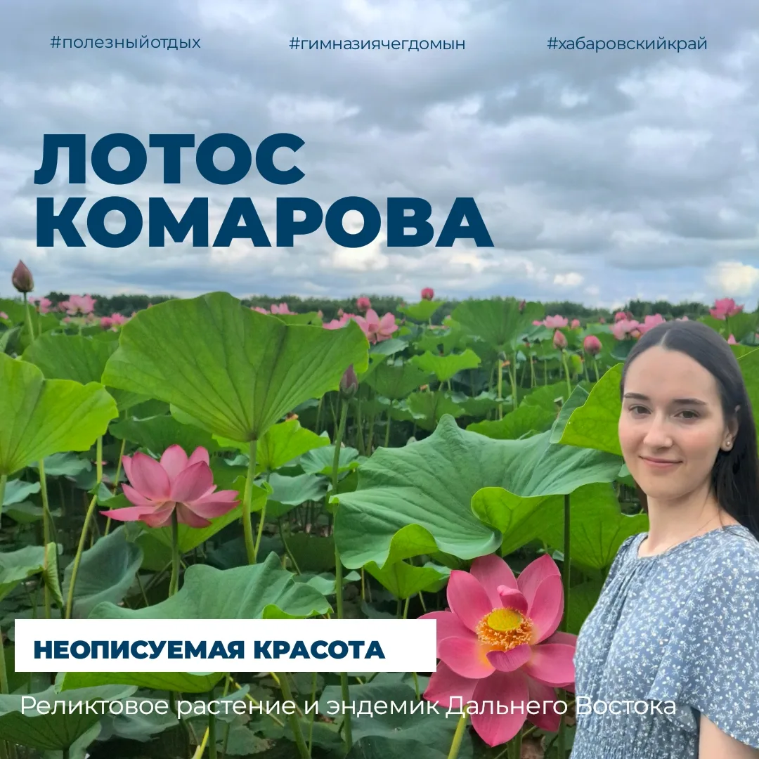 Прекрасный и хрупкий цветок, который пережил динозавров.

Выпускница #гимназиячегдомын 2021 года Опа
